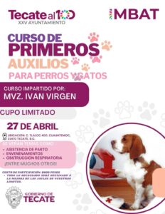 Gobierno de Tecate invita a “Curso de primeros auxilios para perros y gatos”
