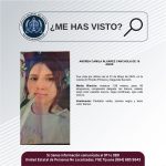 Pesquisa de Andrea Camila Álvares Canchola de 16 años de edad