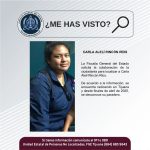 Pesquisa de Carla Alelí Rincon Ríos