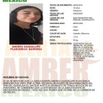 Alerta Amber de Andrea Guadalupe Plascencia Barrera de 15 años de edad