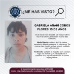 Pesquisa de Gabriela Anahí Cobos Flores 15 años de edad