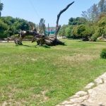 Parque Los Encinos más limpio, seguro y sustentable