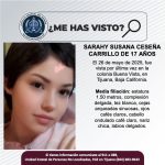 Pesquisa de Sarahy Susana Ceseña Carrillo de 17 años de edad