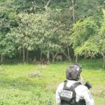 Embargan ganado ilegal en operativo federal en Oaxaca