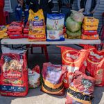Bikers realizan Croqueton para apoyar a perros maltratados y en situación de calle