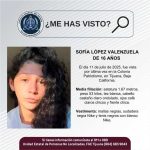 Pesquisa de Sofía López Valenzuela de 16 años de edad