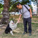 Día Mundial del Perro; más que mascotas, compañeros de vida