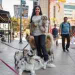 Celebran Coffe Party con más de 60 cafeterías en la Avenida Revolución