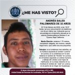 Pesquisa de Andrés Sales Palomares de 32 años de edad