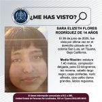 Pesquisa de Sara Elizeth Flores Rodríguez de 14 años de edad