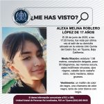 Pesquisa de Alexa Melina Roblero López de 17 años de edad