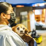 Fiscalía General del Estado de Baja California realiza cateo en albergue en Ensenada por presunto maltrato y abandono animal