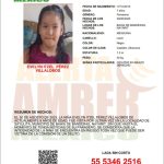 Alerta Amber de Evelyn Itzel Pérez Villalobos de 7 años de edad