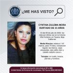 Pesquisa de Cynthia Zulema Mora Hurtado de 33 años de edad