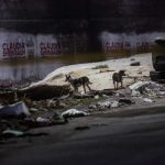 Cuerpo en llamas es localizado en la colonia Mariano Matamoros