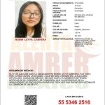 Colaboracion- Alerta Amber