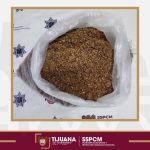Capturan elementos municipales de Tijuana a presunto asaltante de tiendas Oxxo en posesión de droga