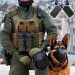 Fallece agente municipal en accidente de transito en Ensenada; SSPCM expresa sus condolencias
