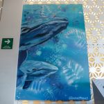 Por medio del arte hacen un llamado a proteger la vida marina
