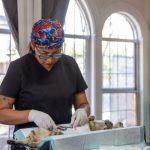 Esterilizan a más de 100 gatos de manera gratuita en Bastet Cat Café 