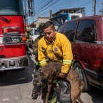 Bomberos sofocan incendio en Lomas Taurinas;rescatan a dos perros