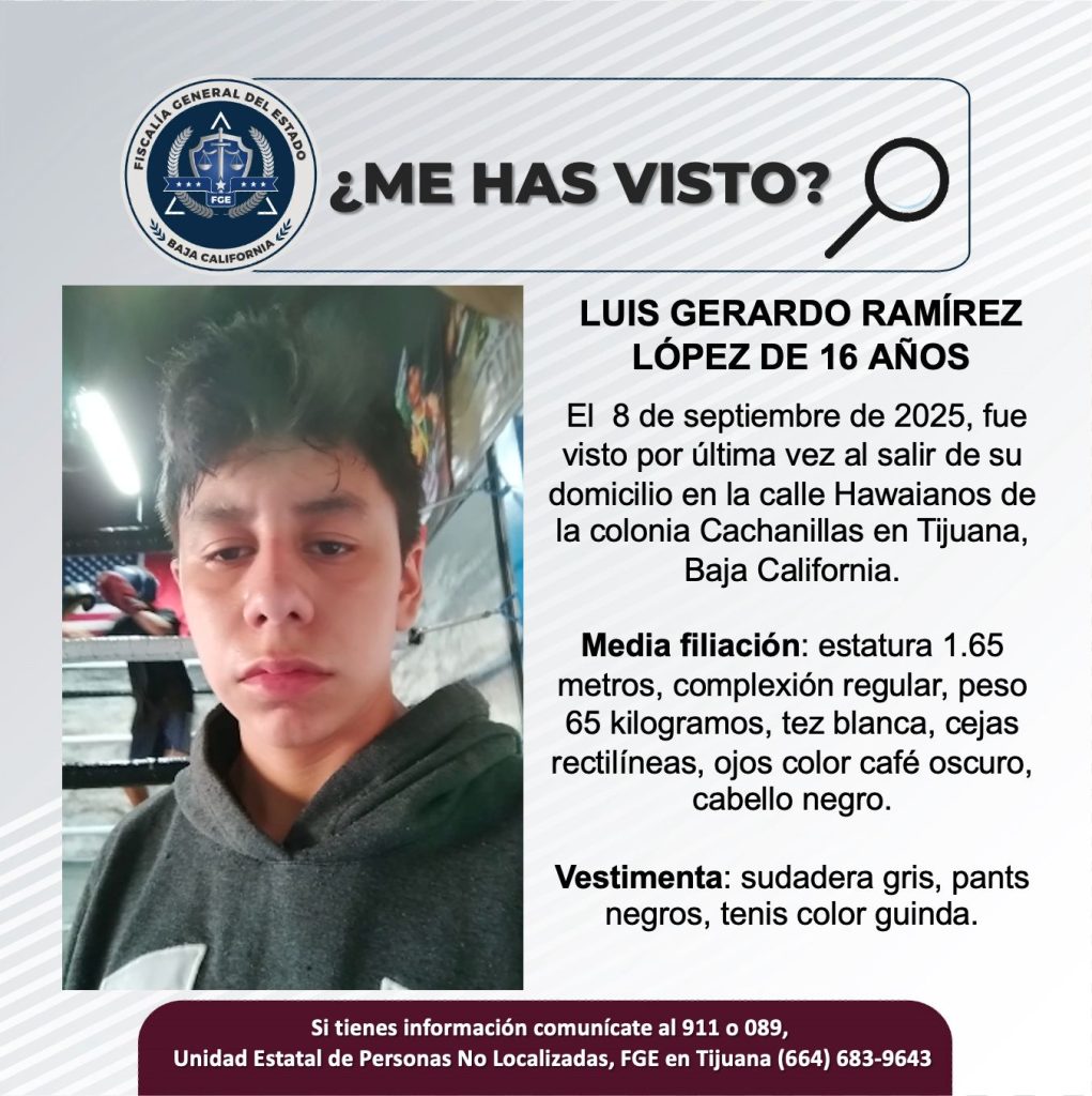 Pesquisa de Luis Gerardo Ramírez López de 16 años de edad