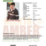 Colaboración de Alerta Amber para buscar a Jesús Pluma Sánchez de 15 años de edad