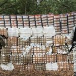 Aseguran 20 toneladas de droga en medio año en Baja California