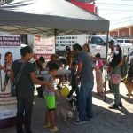 Refuerzan acciones contra rickettsia en el Altiplano