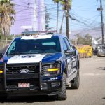 Hallan cuerpo semi enterrado en un lote baldío de la colonia Colinas del Alamar