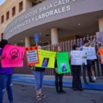 Exigen justicia por maltrato de ocho perros en Tijuana