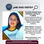 Pesquisa de Valerie Anguelique Estrada Castillo de 14 años de edad