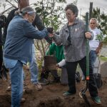 Vivero Municipal producirá árboles para reforestar otras áreas de la ciudad