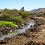 Alcalde Román Cota supervisa labores de limpieza en el cauce del río Tecate