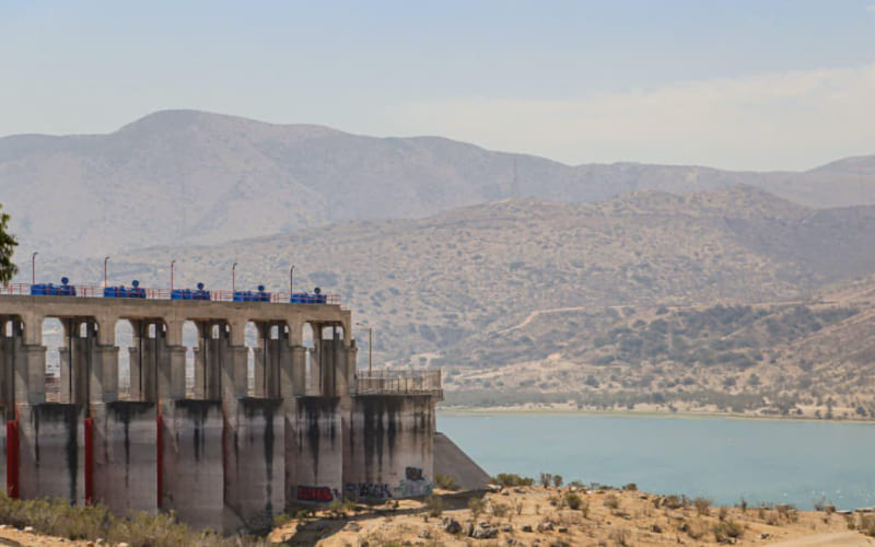 Autoridades Estatales y Federales atienden reporte de afectación a fauna acuática en Presa Abelardo L. Rodríguez z