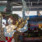 La Catedral de Nuestra Señora de Guadalupe exhibe nacimiento con animales reales