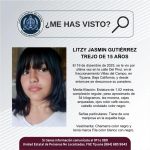 Pesquisa de Litzy Jasmin Gutiérrez Trejo de 15 años
