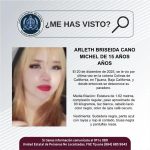 Pesquisa de Arleth Briseida Cano Michel de 15 años