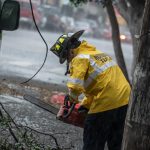 Caída de árbol provoca cierre de la calle Sexta