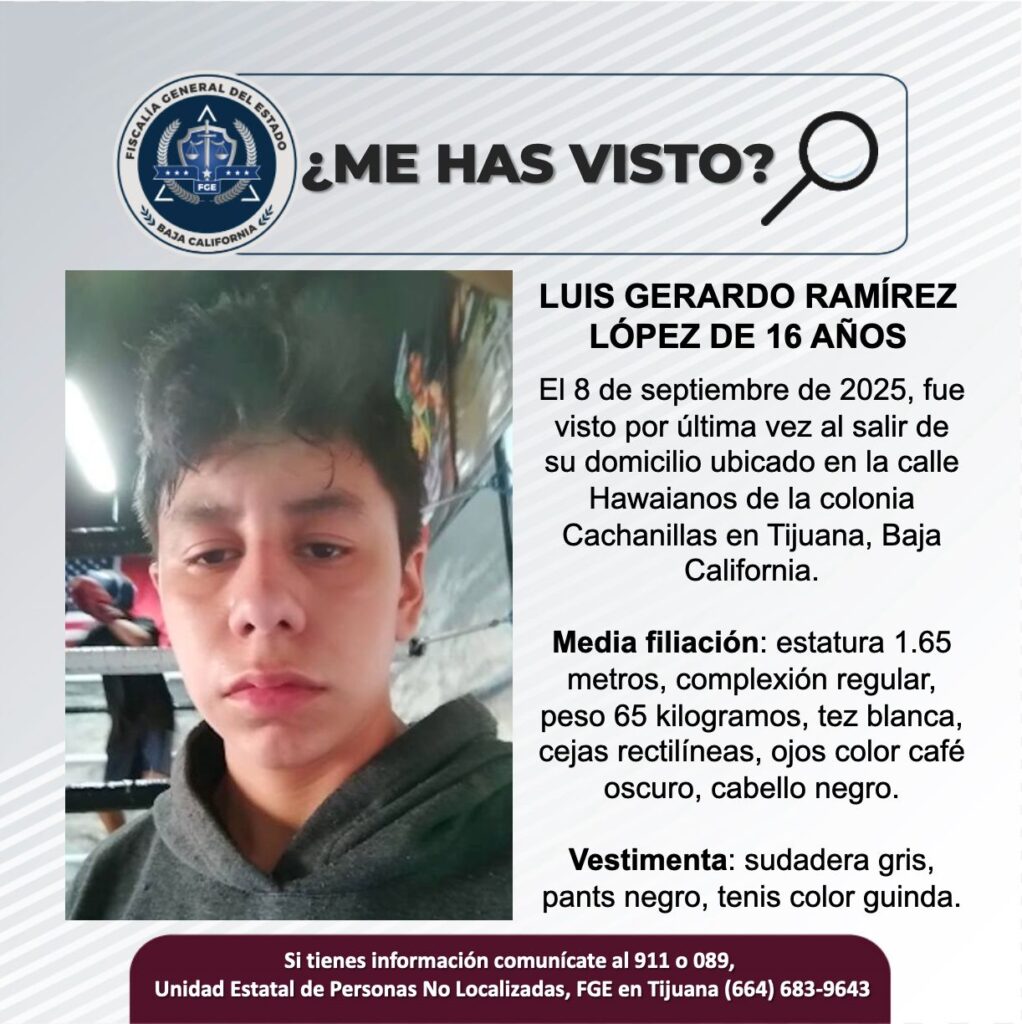 Pesquisa de Luis Gerardo Ramírez López de 16 años