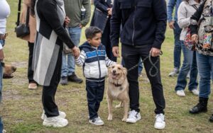 Certifican a perros en zooterapia tras un año de capacitación profesional