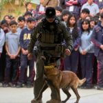 Refuerza SSPCM cultura de la prevención en la Secundaria General No. 31