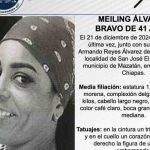 Pesquisa de Meiling Álvarez Bravo de 41 años
