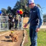 Inaugura Alcalde Román Cota área canina en el parque Los Encinos