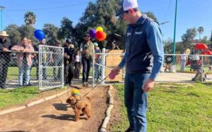 Inaugura Alcalde Román Cota área canina en el parque Los Encinos