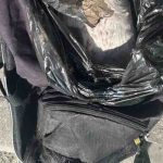 Localizan objetos sospechosos con caninos sin vida en dos puntos de Tijuana