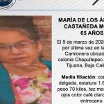 Pesquisa de María de los Ángeles Castañeda Mojica de 65 años